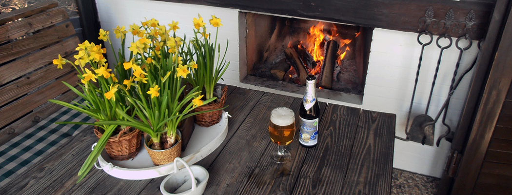 Haus-Kranichblick in Brunsmark Haus-Kranichblick in Brunsmark - Terrasse mit Kamin